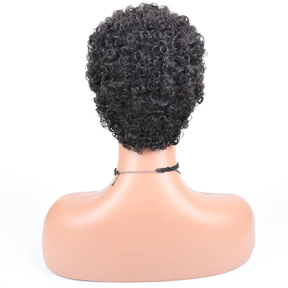 Short Afro Curly