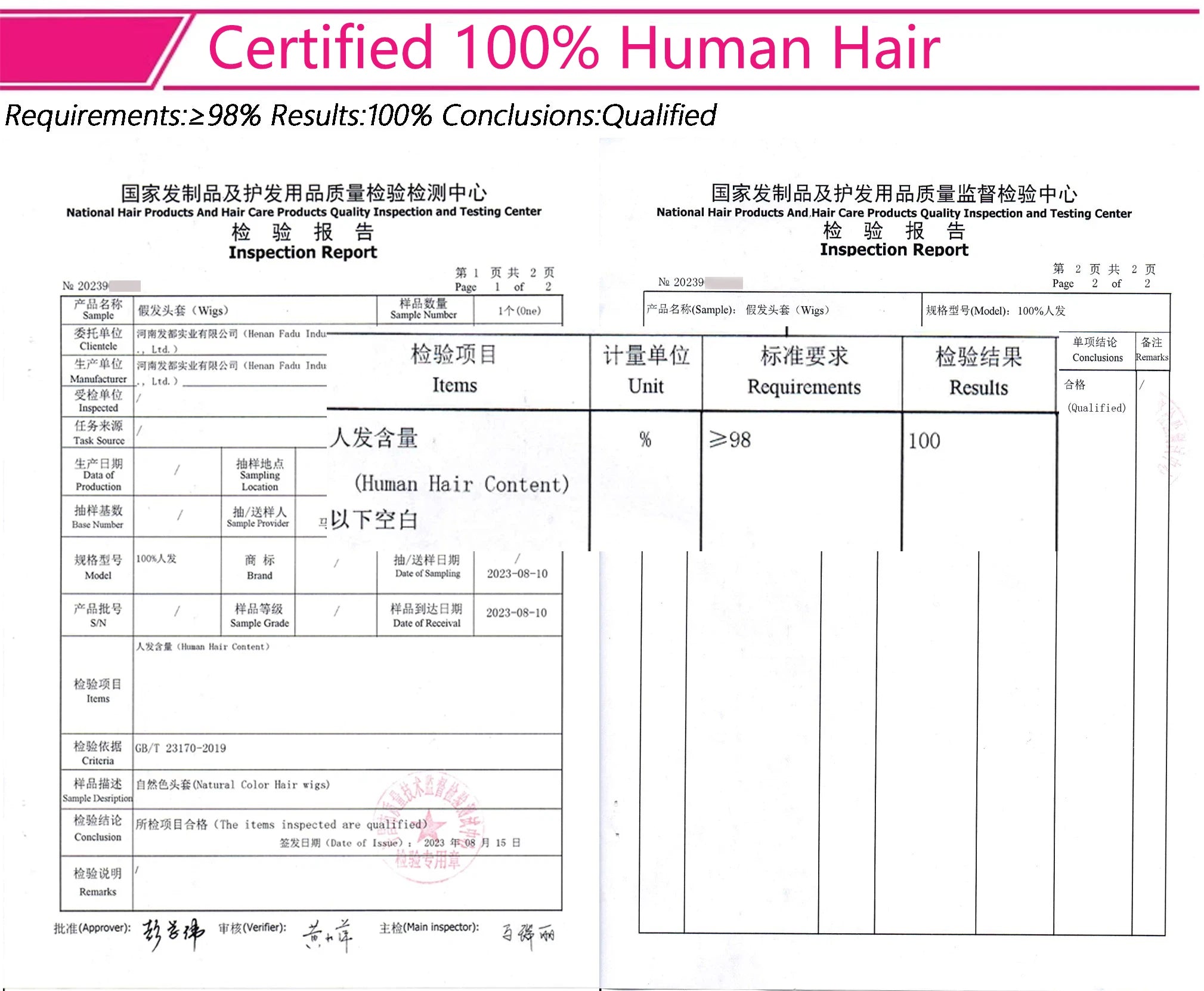 Highlight Wig Human Hair