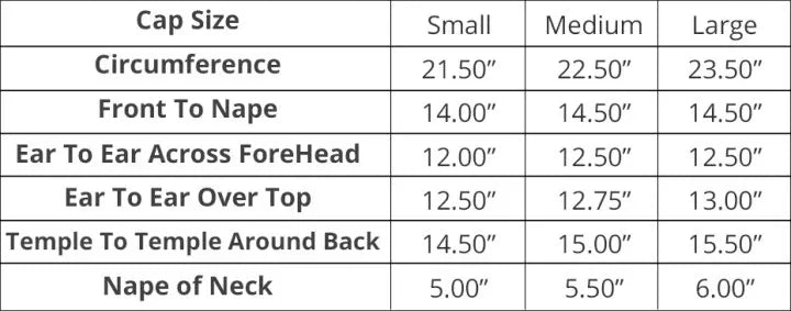 Highlight Wig Human Hair