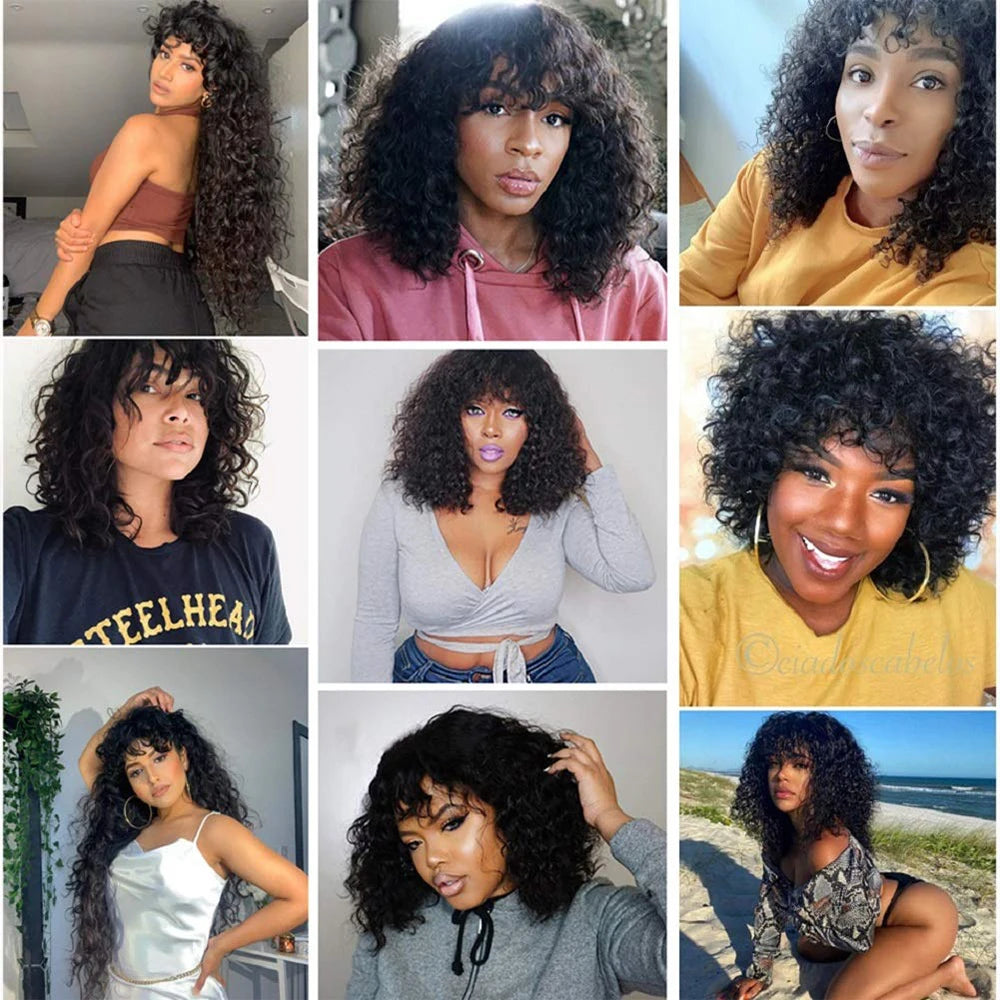 Curly Human Hair Wigs